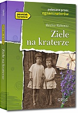 Ziele na kraterze - Melchior Wa�kowicz